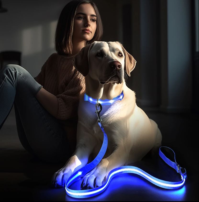 Correa LED para Perros Recargable USB - 3 Colores