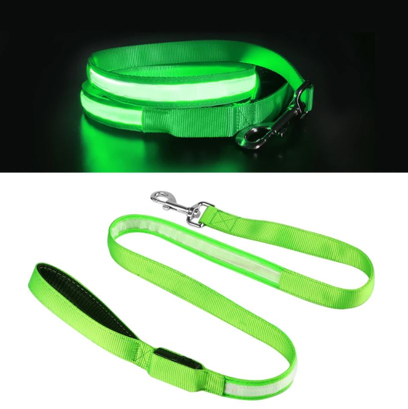 Correa LED para Perros Recargable USB - 3 Colores